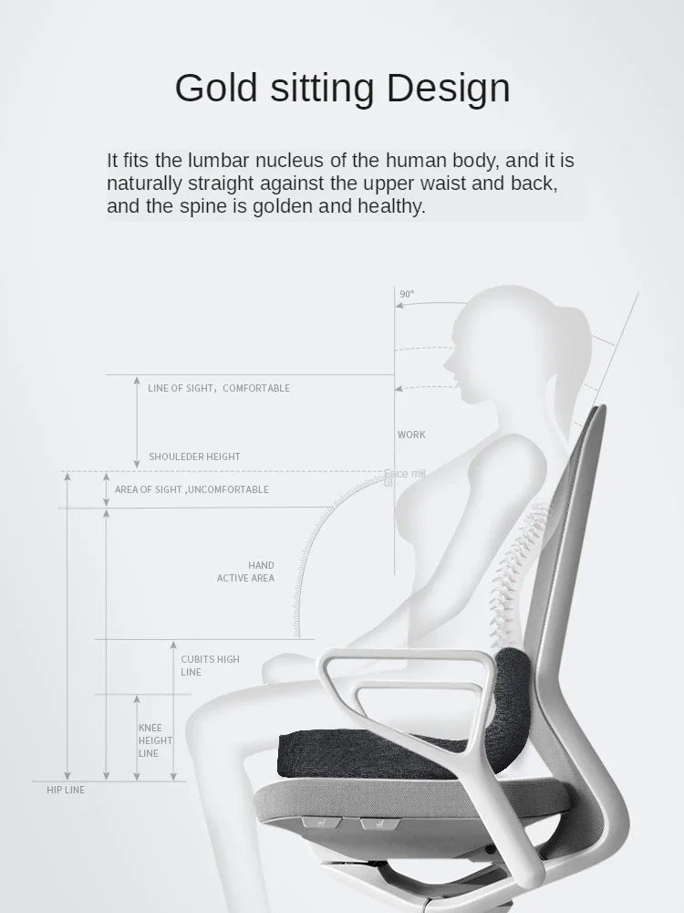 Upgraded "L" Shape Cushion – Orthopedic Memory Foam for Back & Coccyx Support - Image 2